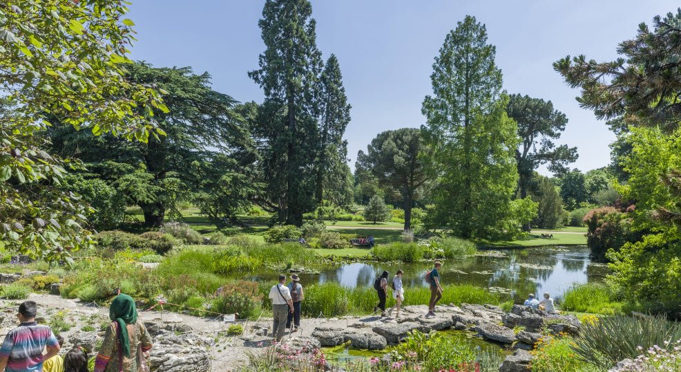 Cambridge University Botanic Garden , United Kingdom